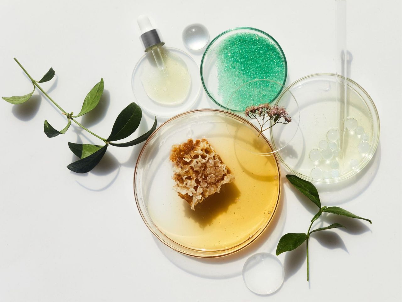 Naturkosmetik Zutaten